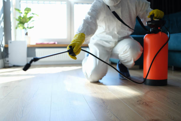 Reliable Odor Removal contractor in Glendale, CA by Dulley Family Biohazard Services